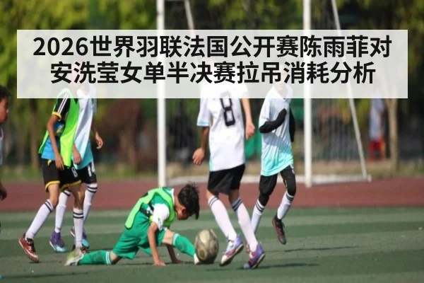2026世界羽联法国公开赛陈雨菲对安洗莹女单半决赛拉吊消耗分析